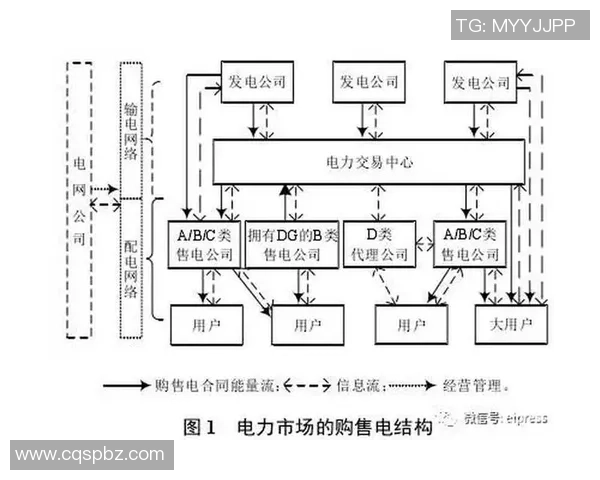 深入分析成都排球队的运营策略与市场推广模式